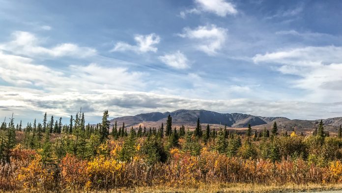 Alaska offers many stunning views during the season’s change. As the seasons change from Summer to Fall, the leaves transform into a stunning display of Fall colors. Interior Alaska offers unique and stunning views for all to enjoy.