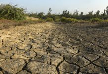 dry field with natural texture of cracked clay. Soil drought cracked landscape. Global warming concept.