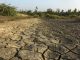 dry field with natural texture of cracked clay. Soil drought cracked landscape. Global warming concept.