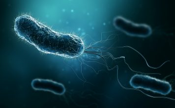 Group of bacteria such as Escherichia coli, Helicobacter pylori or salmonella 3D rendering illustration on blue background. Microbiology, medical, bacteriology, biology, science, healthcare, medicine, infection concepts.