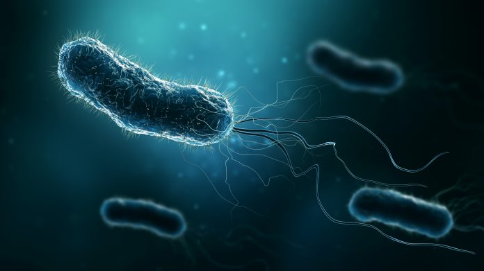 Group of bacteria such as Escherichia coli, Helicobacter pylori or salmonella 3D rendering illustration on blue background. Microbiology, medical, bacteriology, biology, science, healthcare, medicine, infection concepts.