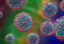 Covid-19 Omicron 3D model of bacteria in blue and red