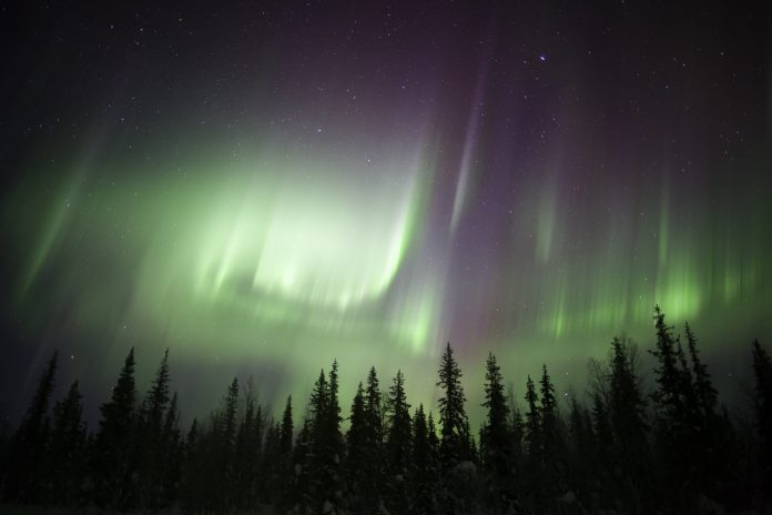 Aurora Borealis over a forest in Swedish Lapland.