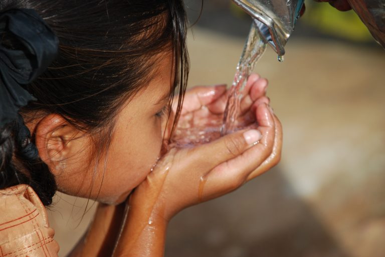 Small dark haired child drinking water using her hands