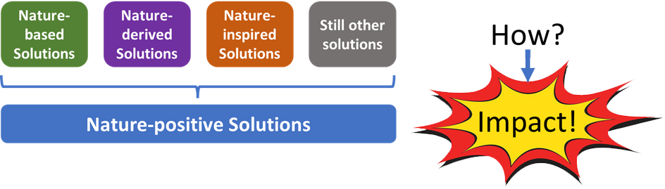 Fig. 1: Rather than arguing about how to achieve benefits for nature and whether a solution should be classified as nature-based, nature-derived or nature-inspired, potential solutions should be assessed and prioritised based on their positive impact on nature, regardless of how they are achieved.