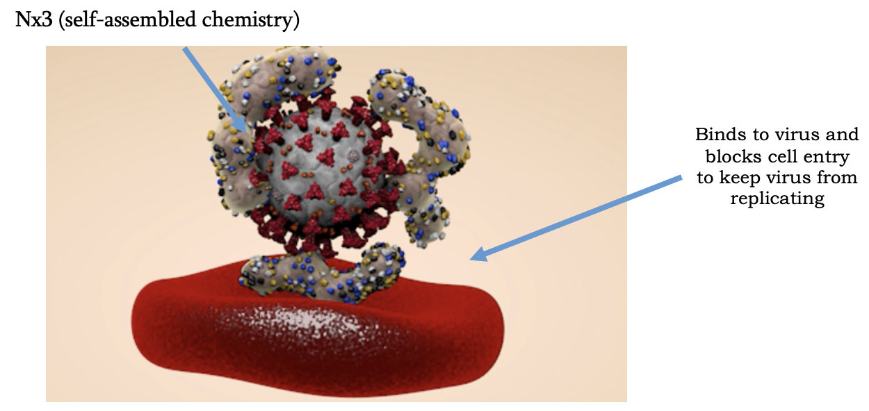 Figure 3: Nx3 is currently being commercialized by Audax Medical as an antiviral prophylactic and therapy for SARS-CoV-2 (COVID), RSV, influenza, rhinovirus, and others. Research only progressed through a start-up company when it was stifled due to U.S. University lab closures during COVID-19.