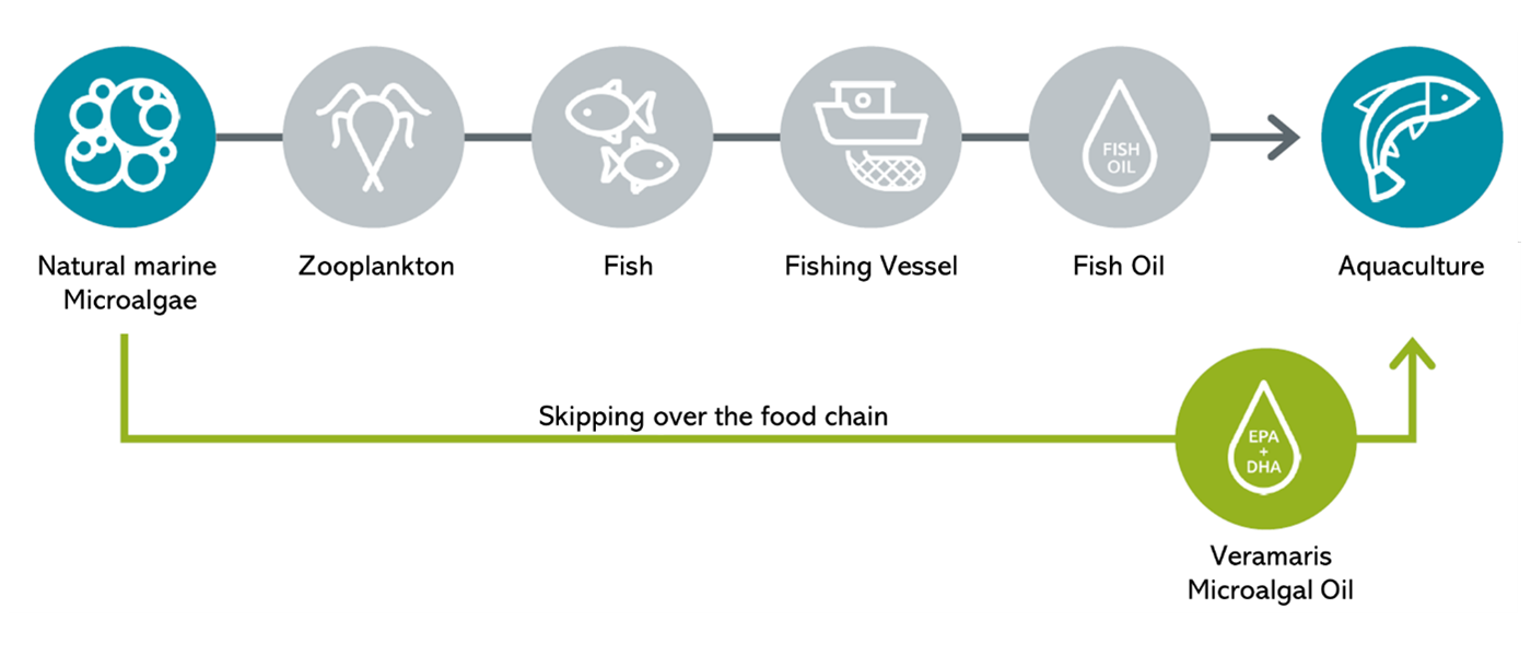 Fig. 2: The fermentation process of Veramaris shortcuts the natural food chain. One tonne of microalgal oil yields the same amount of omega-3s as up to 66 tonnes of wild catch!