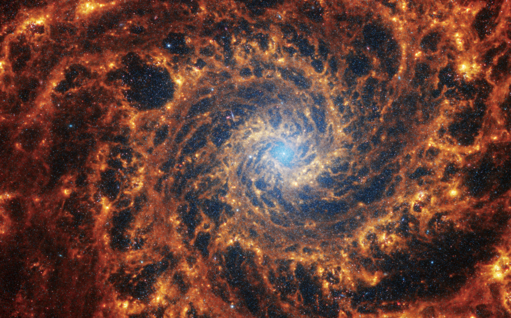 The James Webb Space Telescope observed 19 nearby face-on spiral galaxies in near- and mid-infrared light as part of its contributions to the Physics at High Angular resolution in Nearby GalaxieS (PHANGS) program. PHANGS also includes images and data from NASA’s Hubble Space Telescope, the Very Large Telescope’s Multi-Unit Spectroscopic Explorer, and the Atacama Large Millimeter/submillimeter Array, which included observations taken in ultraviolet, visible, and radio light. NASA, ESA, CSA, STScI, Janice Lee (STScI), Thomas Williams (Oxford), PHANGS Team, Elizabeth Wheatley (STScI)