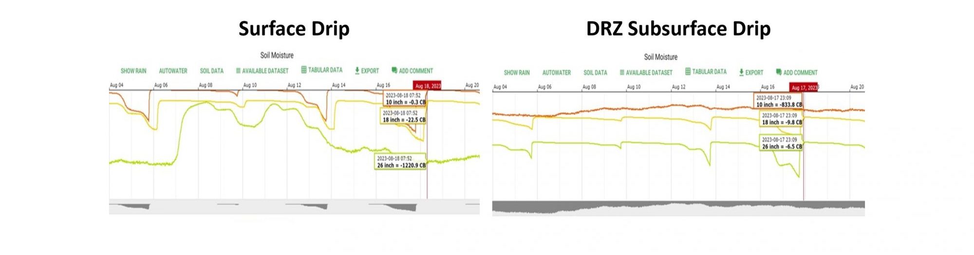 Fig. 2. Comparison of relative water available under surface drip (L) and subsurface drip irrigation (R) using electronic soil water tensiometers placed at depths of 25, 46, and 60 cm depths into the soil profile.