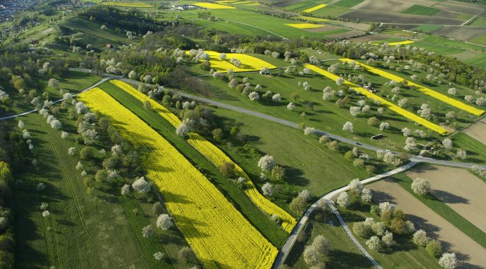 Landschaft bei Marz, Flugbilder, Landschaften