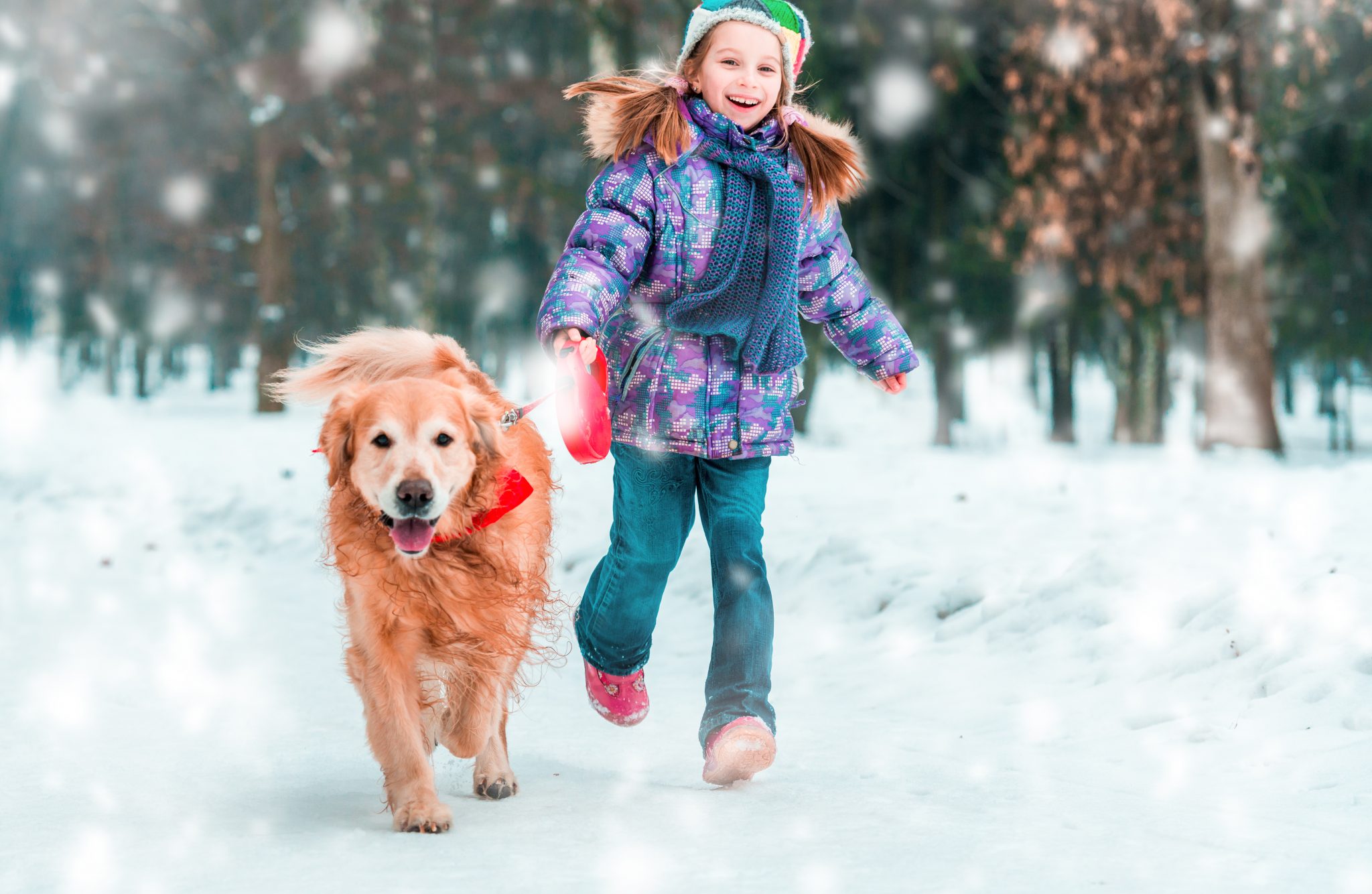 Заберите гулять. Прогулка с собакой зимой. Девочка гуляет с собакой. Ребенок гуляет с собакой. Собака для детей.