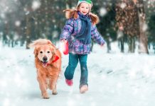 beautiful little girl with her dog on the snow in winter