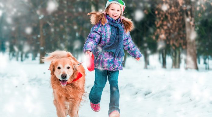 beautiful little girl with her dog on the snow in winter
