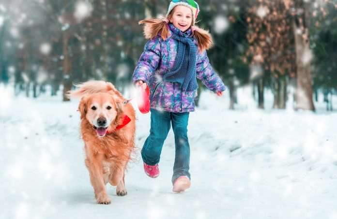 beautiful little girl with her dog on the snow in winter