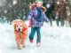 beautiful little girl with her dog on the snow in winter