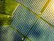 Aerial view over Solar cells energy farm in countryside landscape