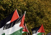 Palestine National Flag Waving, The Netherlands, Europe