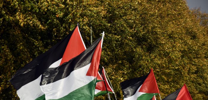 Palestine National Flag Waving, The Netherlands, Europe