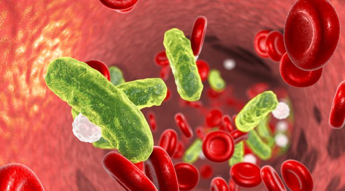 Sepsis, bacteria in blood. 3D illustration showing rod-shaped bacteria in blood with red blood cells and leukocytes