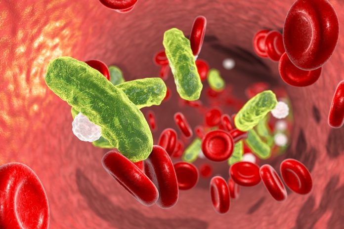 Sepsis, bacteria in blood. 3D illustration showing rod-shaped bacteria in blood with red blood cells and leukocytes