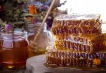 Eastern slavic folk holiday, Spas day. Organic raw honeycombs