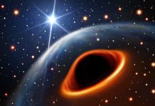 An artist’s impression of the system assuming that the massive companion star is a black hole. The brightest background star is its orbital companion, the radio pulsar PSR J0514-4002E. The two stars are separated by 8 million km and circle each other every seven days. Credit: Daniëlle Futselaar (artsource.nl)