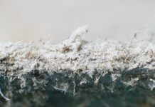 Detailed photography of constructional material with asbestos fibres. Health harmful and hazards effects. Prolonged inhalation of microscopical fibers causes fatal illnesses including lung cancer.