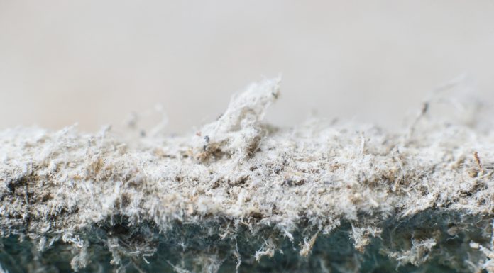 Detailed photography of constructional material with asbestos fibres. Health harmful and hazards effects. Prolonged inhalation of microscopical fibers causes fatal illnesses including lung cancer.