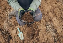 A sample of agricultural land in the hands of a farmer