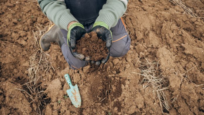 A sample of agricultural land in the hands of a farmer