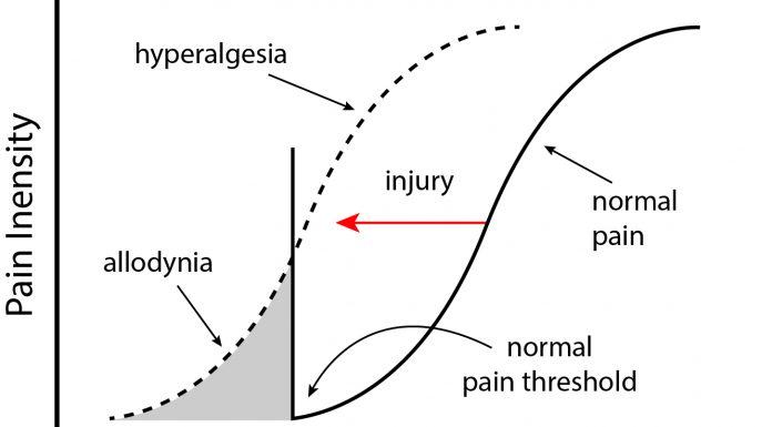 Figure 1: Abnormal pain response in IBD and Endometriosis.