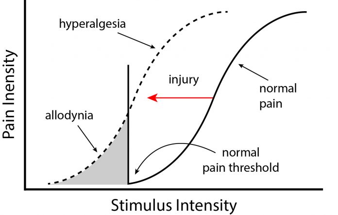 Figure 1: Abnormal pain response in IBD and Endometriosis.