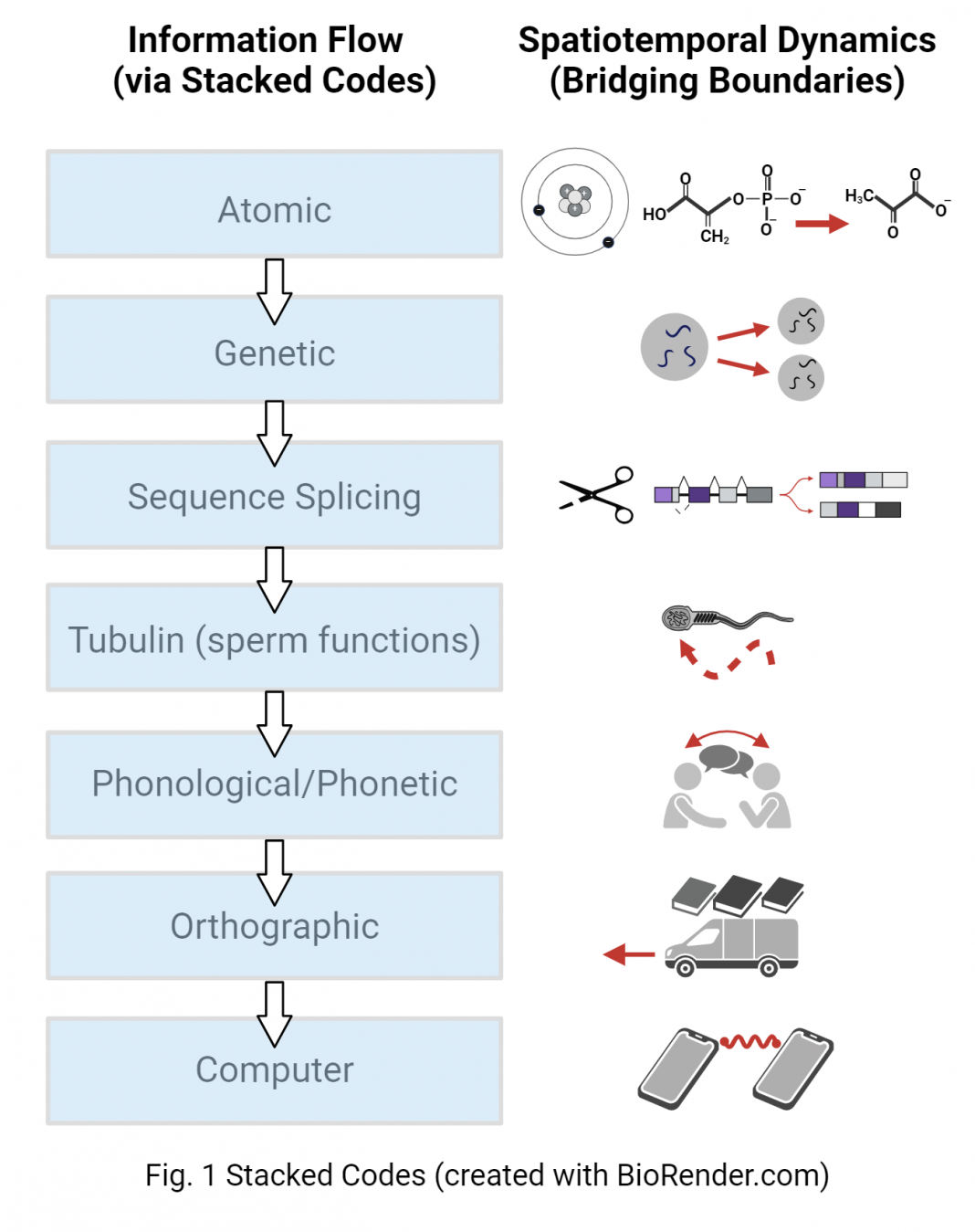 Figure 1: Stacked Codes (created with BioRender.com)