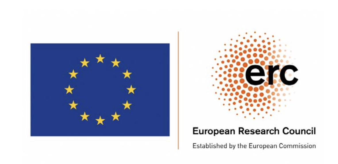 ERC Consolidator Grant, Project name ‘Discriminative preferences and fairness ideals in diverse societies’; grant number 724231