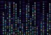 Genomic analysis visualization. Dna genomes sequencing, deoxyribonucleic acid genetic map and genome sequence analyze. Bioinformatics forensics data or dna radiographic testing vector concept