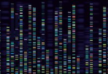 Genomic analysis visualization. Dna genomes sequencing, deoxyribonucleic acid genetic map and genome sequence analyze. Bioinformatics forensics data or dna radiographic testing vector concept