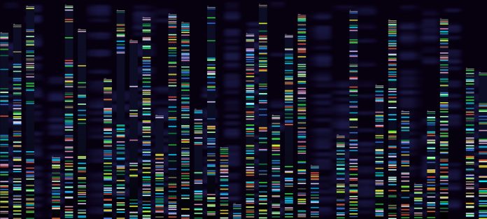 Genomic analysis visualization. Dna genomes sequencing, deoxyribonucleic acid genetic map and genome sequence analyze. Bioinformatics forensics data or dna radiographic testing vector concept