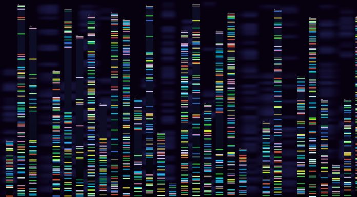 Genomic analysis visualization. Dna genomes sequencing, deoxyribonucleic acid genetic map and genome sequence analyze. Bioinformatics forensics data or dna radiographic testing vector concept