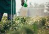 One man, young farmer spraying plants on a farm, part of.