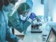 Scentist people working inside laboratory with microscope and laptop while wearing hazmat suit and face masks - Focus on the young woman with microscope