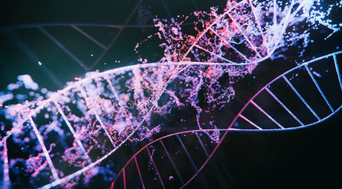 DNA strands - 3d images of dna molecules on black background, science nanotechnology, medical concept, on dark bg, hologram view.