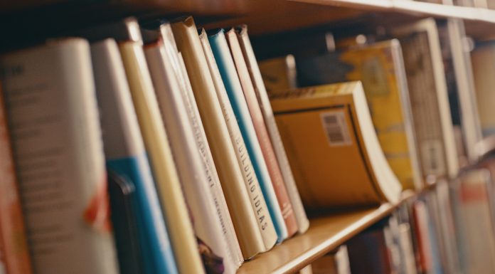 Library, research and row of books on bookshelf for reading, knowledge and educational learning. University bookstore, information and zoom of shelves with textbook, academic journal or literature