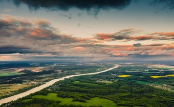 Green forest aerial view. Drone photography. Summer sky. Sustainability. Nature conservation. Morning