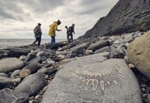 Family looking for fossils at the Lyme Regis Fossil Beach in Dorset, United Kingdom