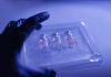 Close-up hand of medical worker with surgical gloves holding a set of deep frozen COVID-19 (SARS-CoV-2) coronavirus vaccine vials. Blue abstract background.