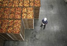 Top view of worker standing by apple fruit crates in organic food factory warehouse.