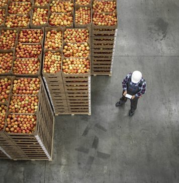 Top view of worker standing by apple fruit crates in organic food factory warehouse.