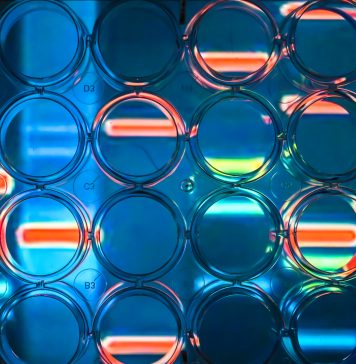 Abstract background - genome research. A look through a 24-well plate.