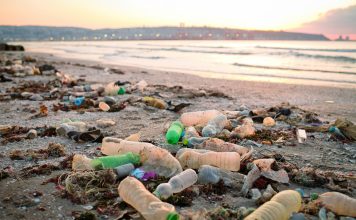 Discarded plastic waste on the beach in sunset. Environmental pollution and ecological problems concept.