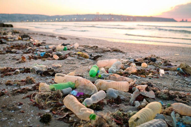 Discarded plastic waste on the beach in sunset. Environmental pollution and ecological problems concept.